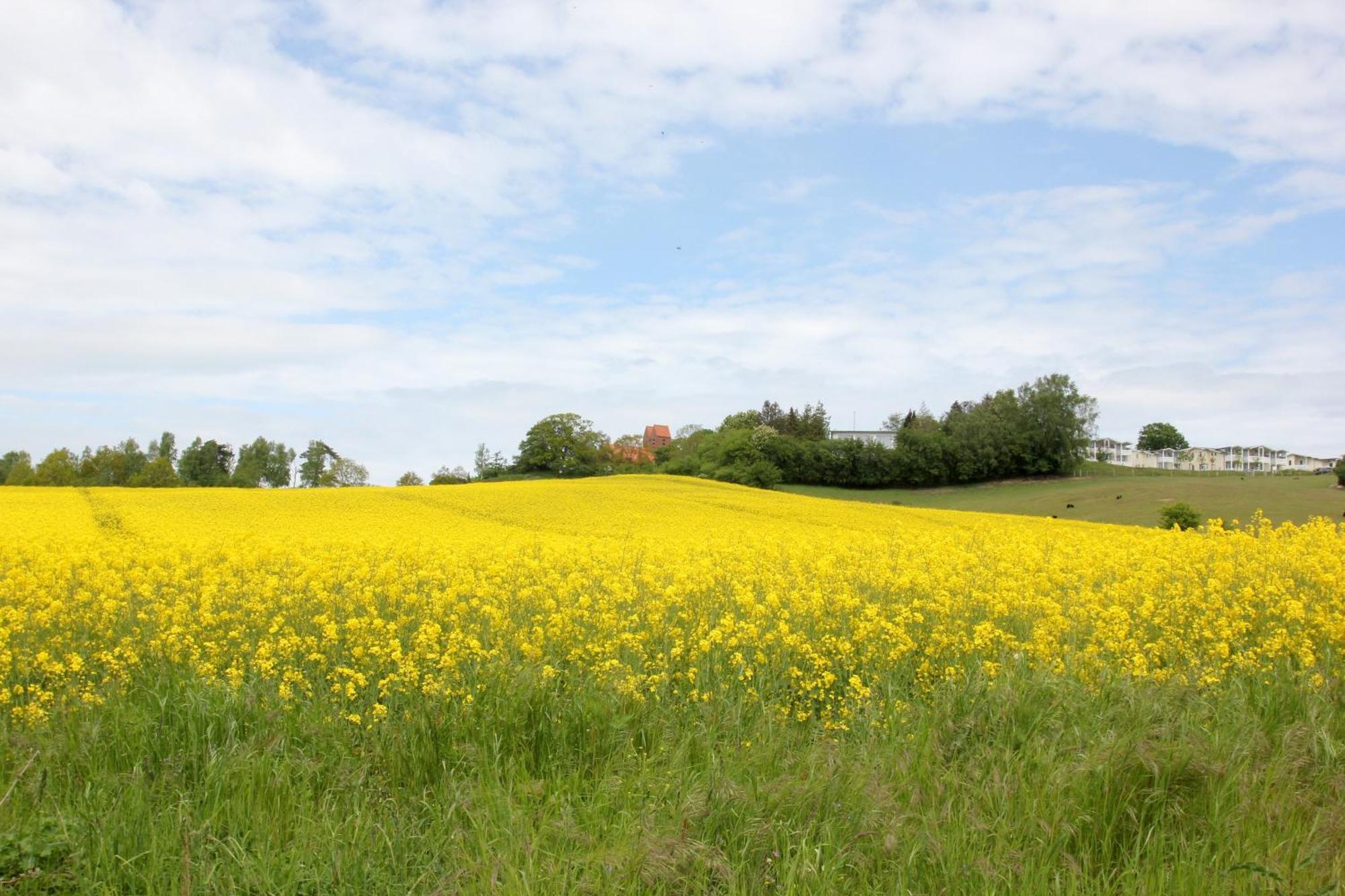 Mit Meerblick Und Balkon, Gratis Nutzung Vom Ahoi Erlebnisbad Und Sauna In Sellin - Meeresblick Fewo 33 Goehren (Ruegen) Exterior foto
